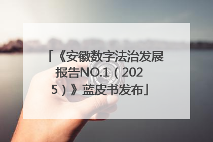 《安徽数字法治发展报告NO.1（2025）》蓝皮书发布