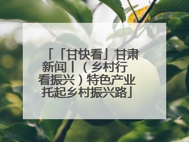 「甘快看」甘肃新闻丨（乡村行 看振兴）特色产业托起乡村振兴路