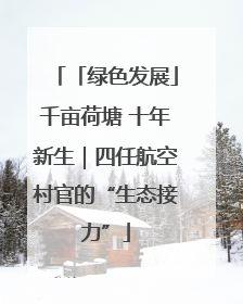 「绿色发展」千亩荷塘 十年新生｜四任航空村官的“生态接力”