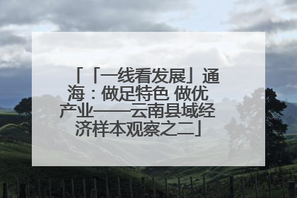 「一线看发展」通海：做足特色 做优产业——云南县域经济样本观察之二