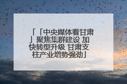 「中央媒体看甘肃」聚焦集群建设 加快转型升级 甘肃支柱产业增势强劲
