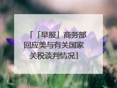 「早报」商务部回应美与有关国家关税谈判情况