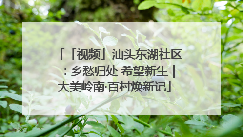 「视频」汕头东湖社区：乡愁归处 希望新生｜大美岭南·百村焕新记