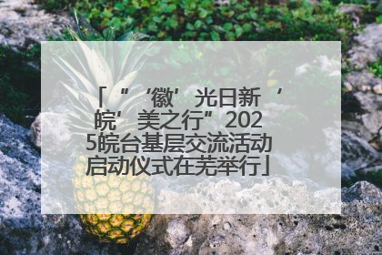 “‘徽’光日新‘皖’美之行”2025皖台基层交流活动启动仪式在芜举行