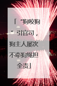 “狗咬狗”引官司，狗主人屡次不牵狗绳担全责