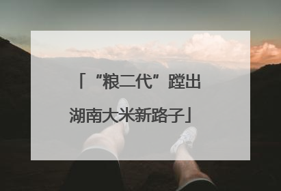 “粮二代”蹚出湖南大米新路子