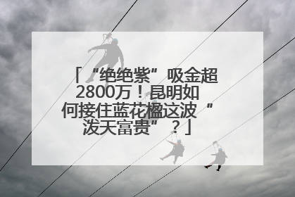 “绝绝紫”吸金超2800万！昆明如何接住蓝花楹这波“泼天富贵”？