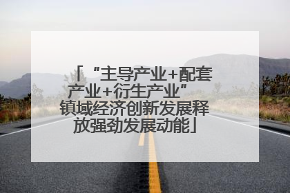 “主导产业+配套产业+衍生产业” 镇域经济创新发展释放强劲发展动能