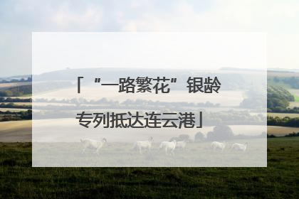 “一路繁花”银龄专列抵达连云港