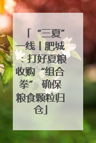 “三夏”一线丨肥城：打好夏粮收购“组合拳” 确保粮食颗粒归仓