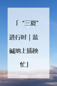 “三夏”进行时｜盐碱地上插秧忙
