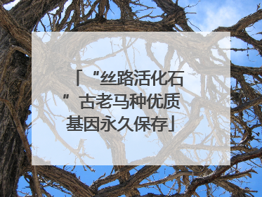 “丝路活化石”古老马种优质基因永久保存