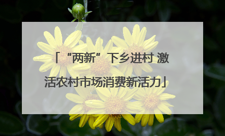 “两新”下乡进村 激活农村市场消费新活力