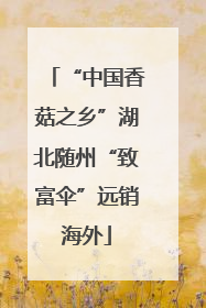 “中国香菇之乡”湖北随州“致富伞”远销海外