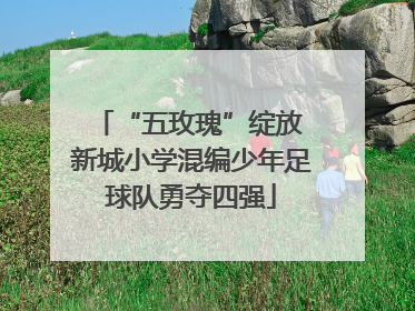“五玫瑰”绽放 新城小学混编少年足球队勇夺四强