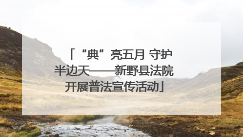 “典”亮五月 守护半边天——新野县法院开展普法宣传活动