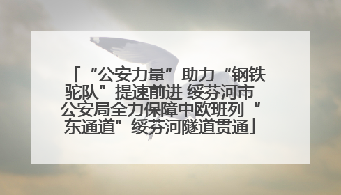 “公安力量”助力“钢铁驼队”提速前进 绥芬河市公安局全力保障中欧班列“东通道”绥芬河隧道贯通