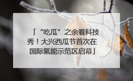 “吃瓜”之余看科技秀！大兴西瓜节首次在国际氢能示范区启幕