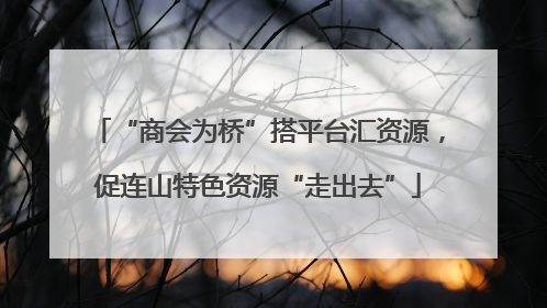 “商会为桥”搭平台汇资源，促连山特色资源“走出去”