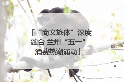 “商文旅体”深度融合 兰州“五一”消费热潮涌动