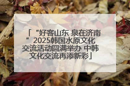 “好客山东 泉在济南”2025韩国水原文化交流活动圆满举办 中韩文化交流再添新彩