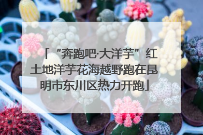 “奔跑吧·大洋芋”红土地洋芋花海越野跑在昆明市东川区热力开跑
