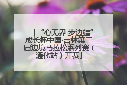“心无界 步边疆”成长杯中国·吉林第二届边境马拉松系列赛（通化站）开赛