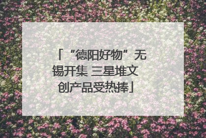 “德阳好物”无锡开集 三星堆文创产品受热捧