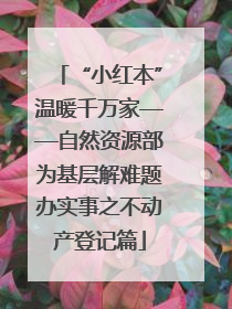 “小红本”温暖千万家——自然资源部为基层解难题办实事之不动产登记篇