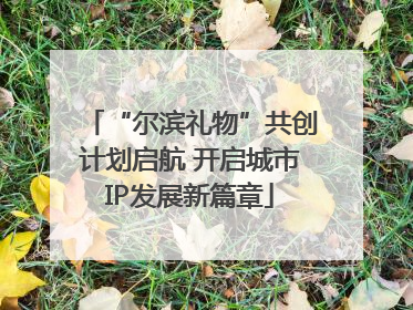 “尔滨礼物”共创计划启航 开启城市IP发展新篇章
