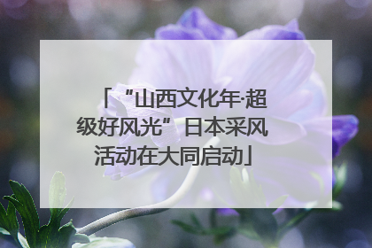 “山西文化年·超级好风光”日本采风活动在大同启动