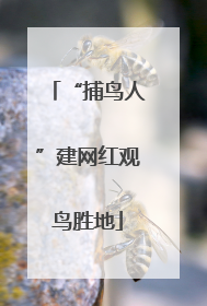“捕鸟人”建网红观鸟胜地