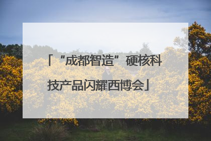 “成都智造”硬核科技产品闪耀西博会