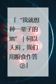 “我就想种一辈子的地”｜何以天府，我们用粮食作答②
