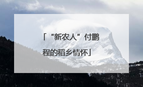 “新农人”付鹏程的稻乡情怀