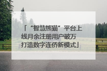 “智慧熊猫”平台上线月余注册用户破万 打造数字连侨新模式