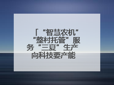 “智慧农机”“整村托管”服务“三夏”生产 向科技要产能筑牢丰产基础