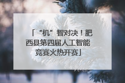 “机”智对决！肥西县第四届人工智能竞赛火热开赛