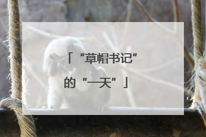 “草帽书记”的“一天”