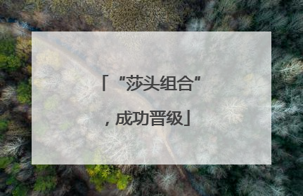 “莎头组合”，成功晋级