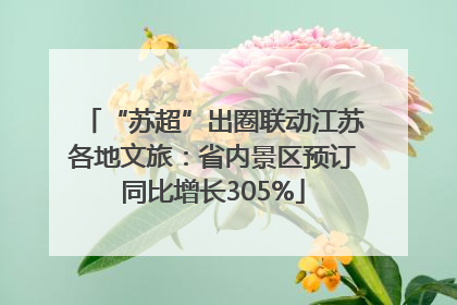 “苏超”出圈联动江苏各地文旅：省内景区预订同比增长305%