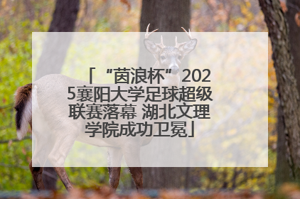 “茵浪杯”2025襄阳大学足球超级联赛落幕 湖北文理学院成功卫冕