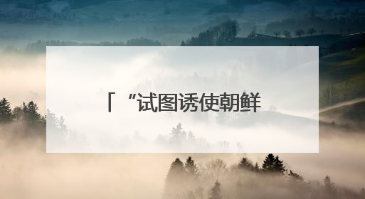 “试图诱使朝鲜进攻韩国”！韩议员：韩军曾派无人机侵入平壤