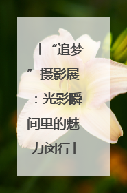 “追梦”摄影展：光影瞬间里的魅力闵行