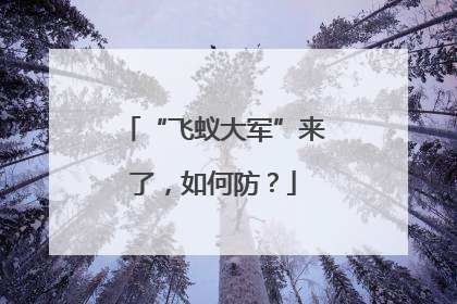 “飞蚁大军”来了，如何防？