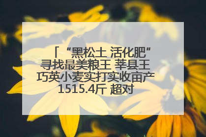“黑松土 活化肥”寻找最美粮王 莘县王巧英小麦实打实收亩产1515.4斤 超对照田144斤！