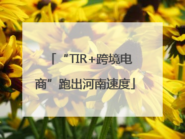 “TIR+跨境电商”跑出河南速度