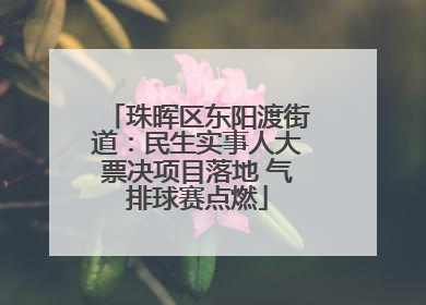 珠晖区东阳渡街道：民生实事人大票决项目落地 气排球赛点燃