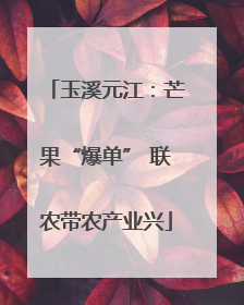 玉溪元江：芒果“爆单” 联农带农产业兴