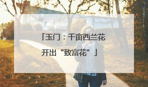 玉门：千亩西兰花开出“致富花”
